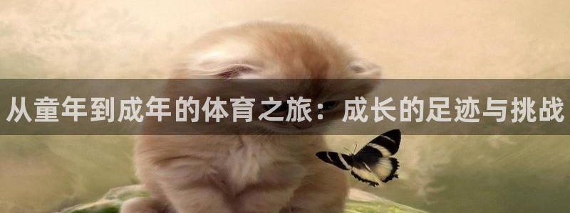 球王会体育