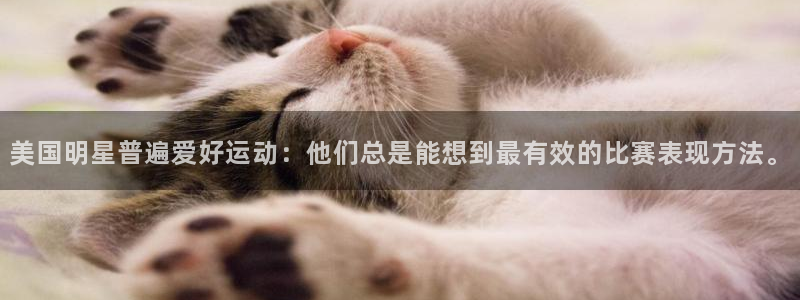 球王会体育