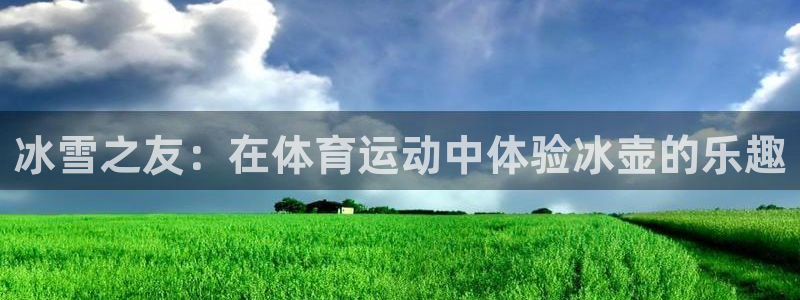 球王会体育