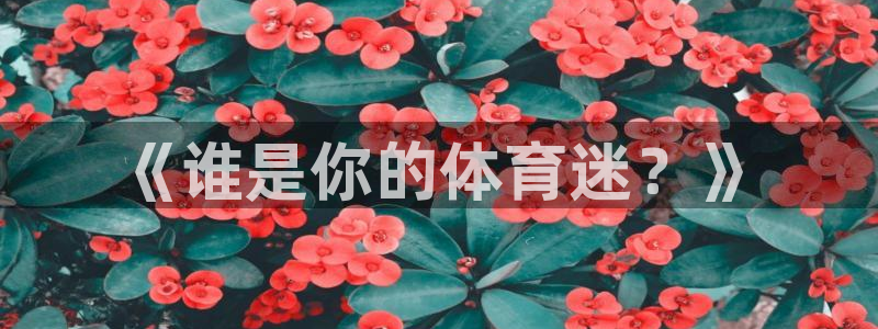 球王会体育