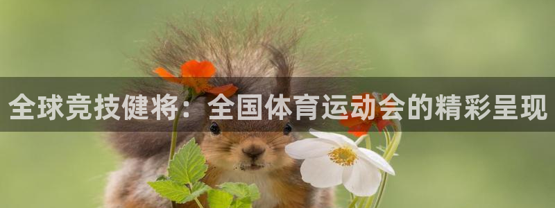 球王会体育