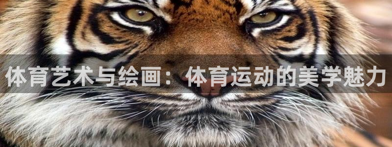 球王会体育