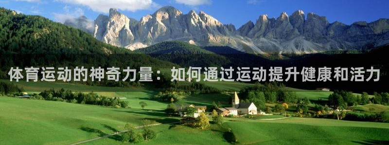 球王会体育