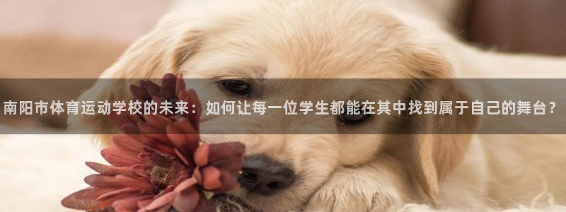 球王会体育