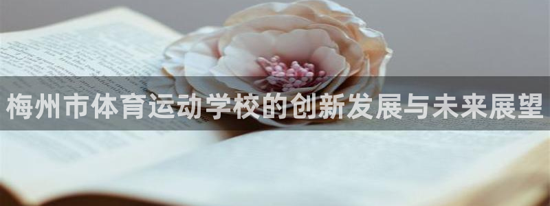 球王会体育