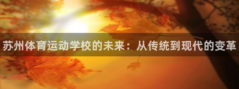 球王会体育