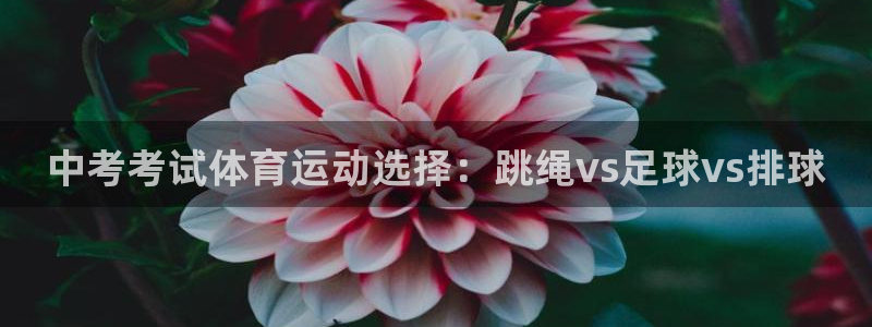 球王会体育