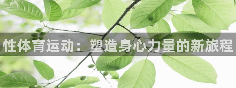 球王会体育