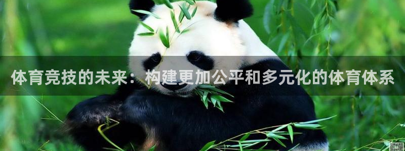 球王会体育