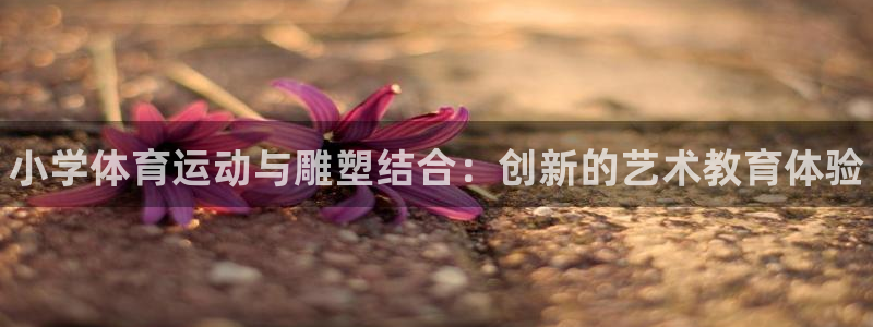 球王会体育