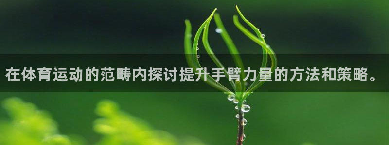球王会体育