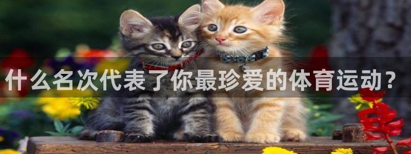 球王会体育