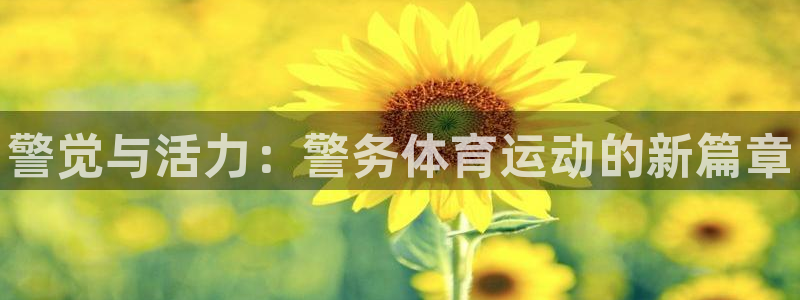 球王会体育