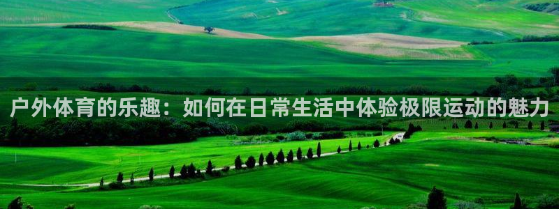 球王会体育