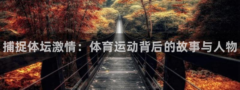 球王会体育