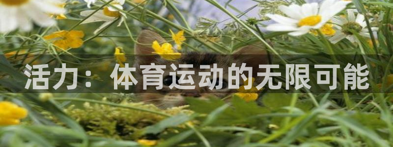 球王会体育