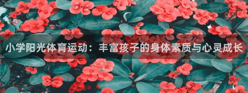 球王会体育