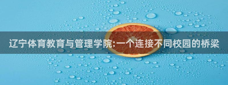 球王会体育