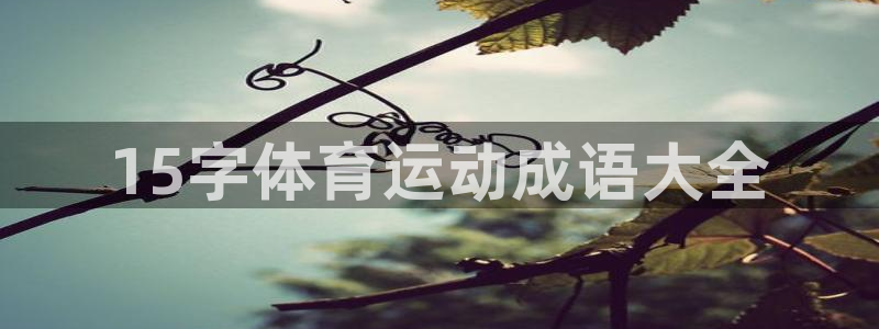 球王会体育