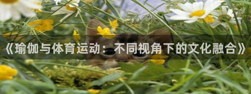 球王会体育