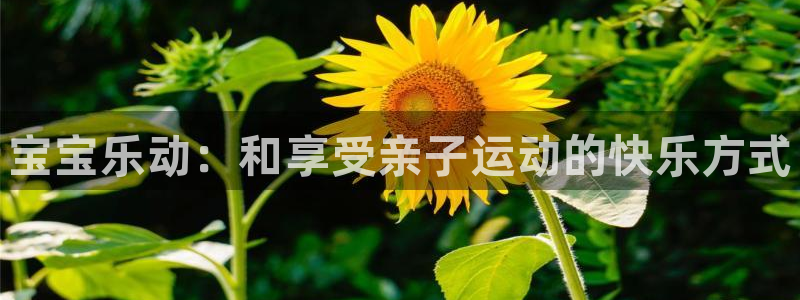球王会体育