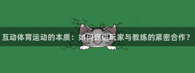 球王会体育