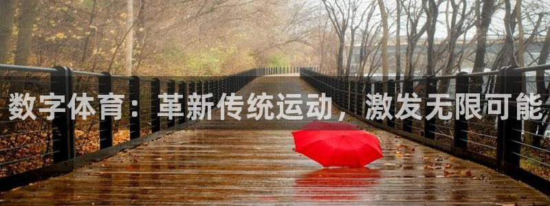 球王会体育