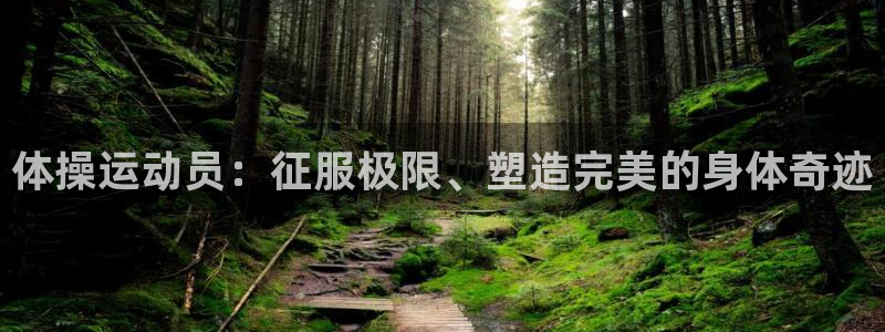 球王会体育