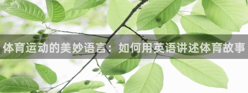 球王会体育