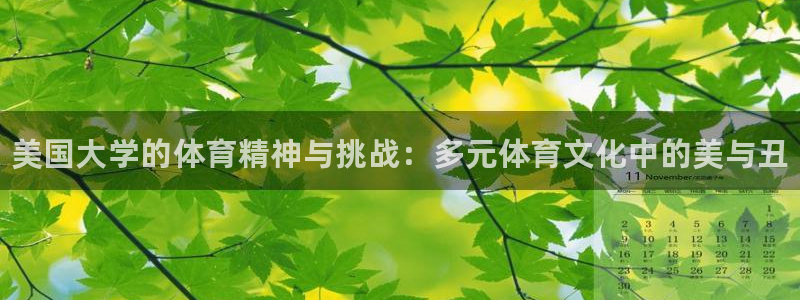 球王会体育