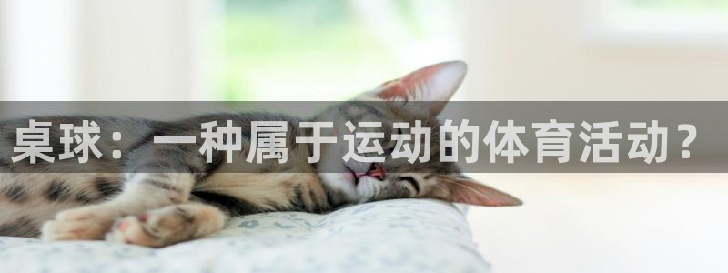 球王会体育