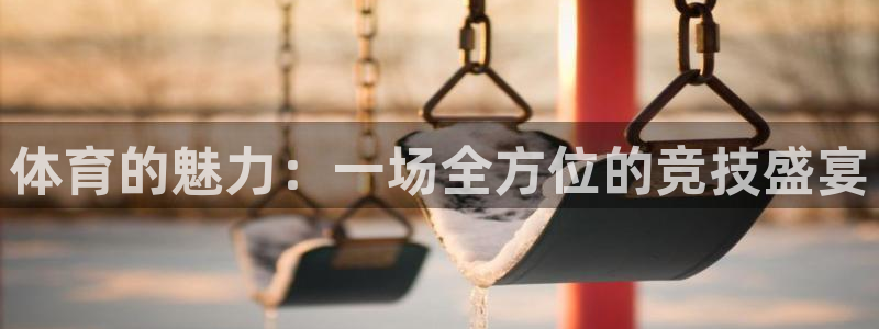 球王会体育