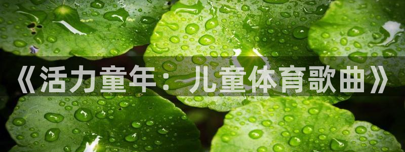 球王会体育