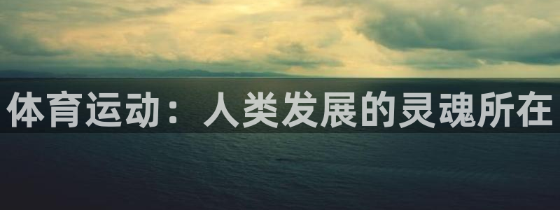 球王会体育