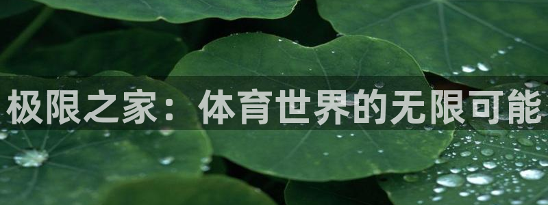 球王会体育