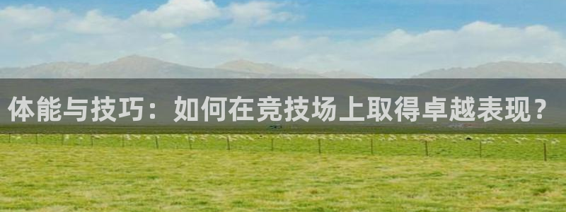球王会体育