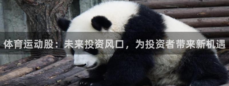 球王会体育